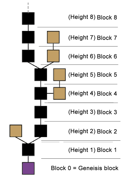 ارتفاع بلاک (Block Height)