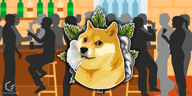 توکن Weed Doge چیست؟ از کجا WOGE بخریم؟