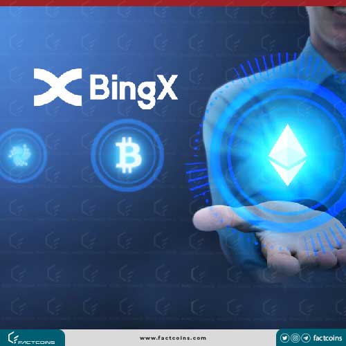  BingX 