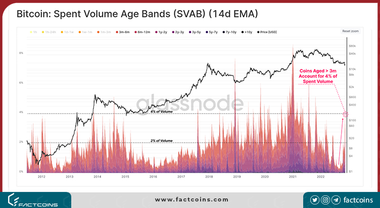  Spent Volume Age Bands