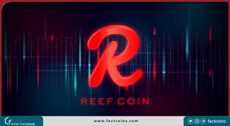بررسی تکنیکال reef finance