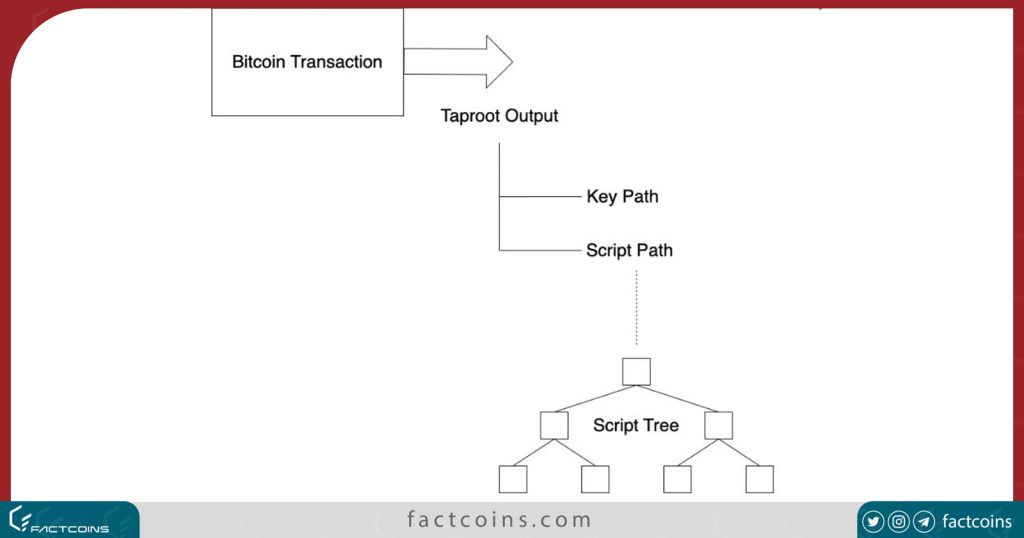 پروتکل TapRoot Assets چیست؟