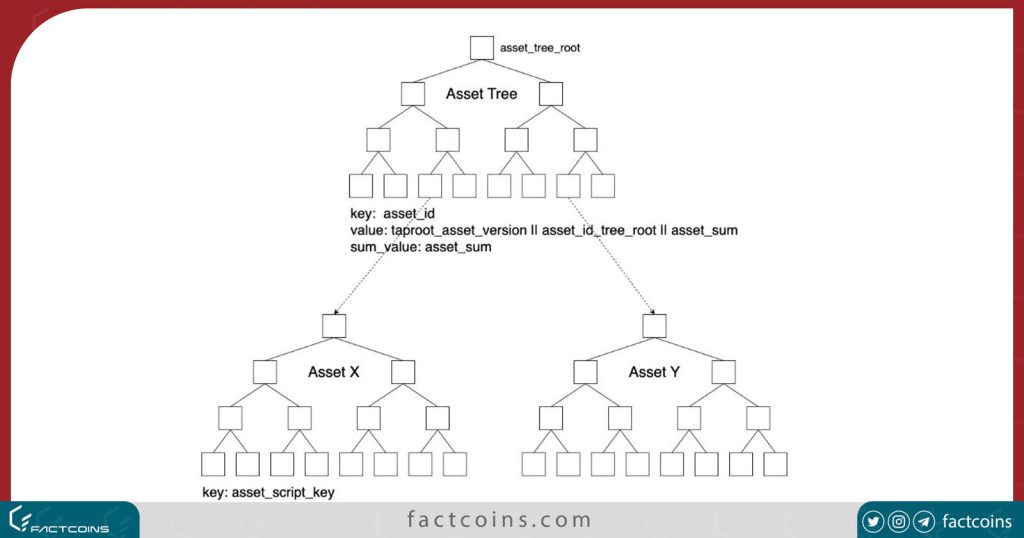 است تری (Asset Tree) یا درخت دارایی چیست؟